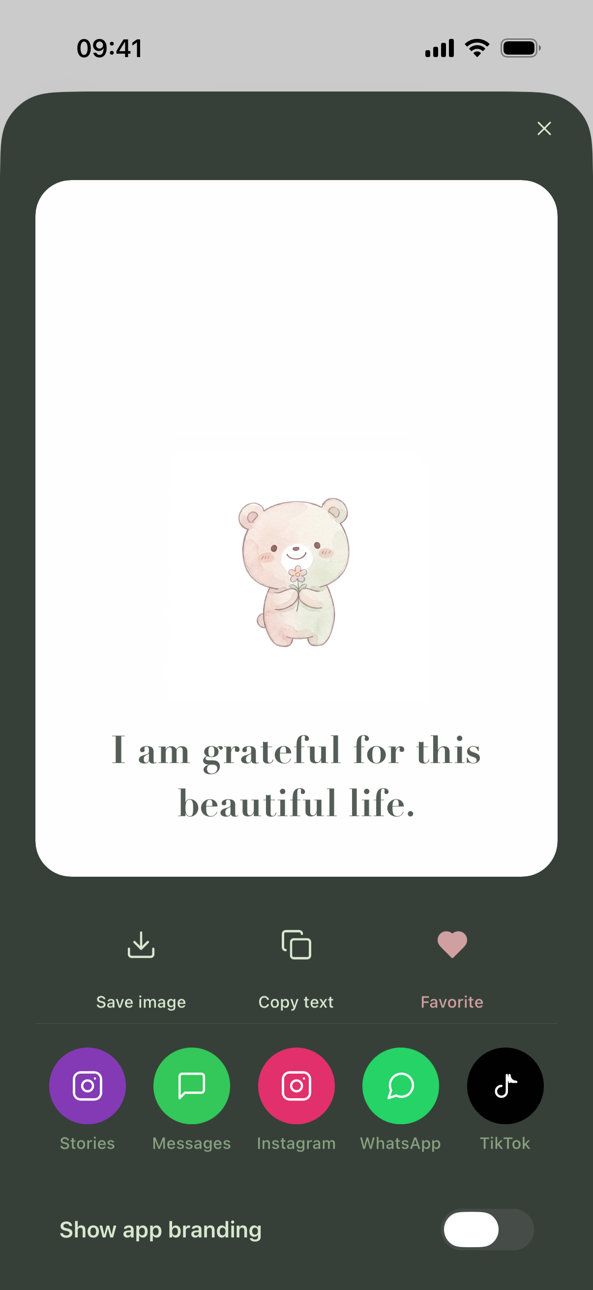 Share screen with affirmation card and social platform options