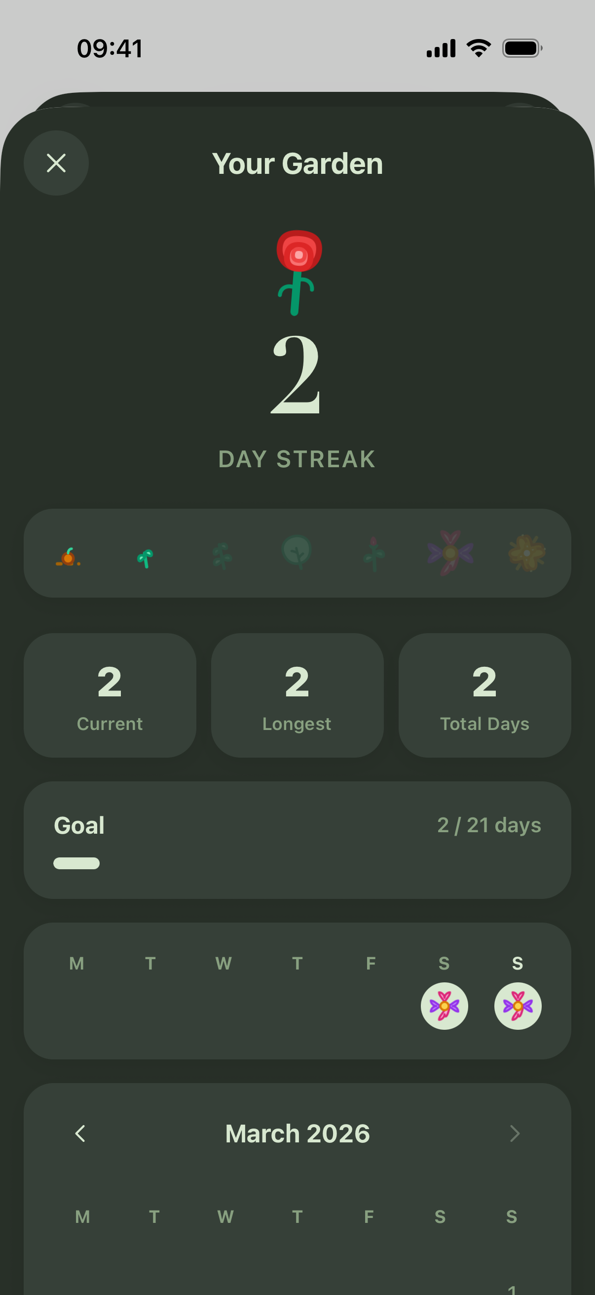 Streak tracking screen