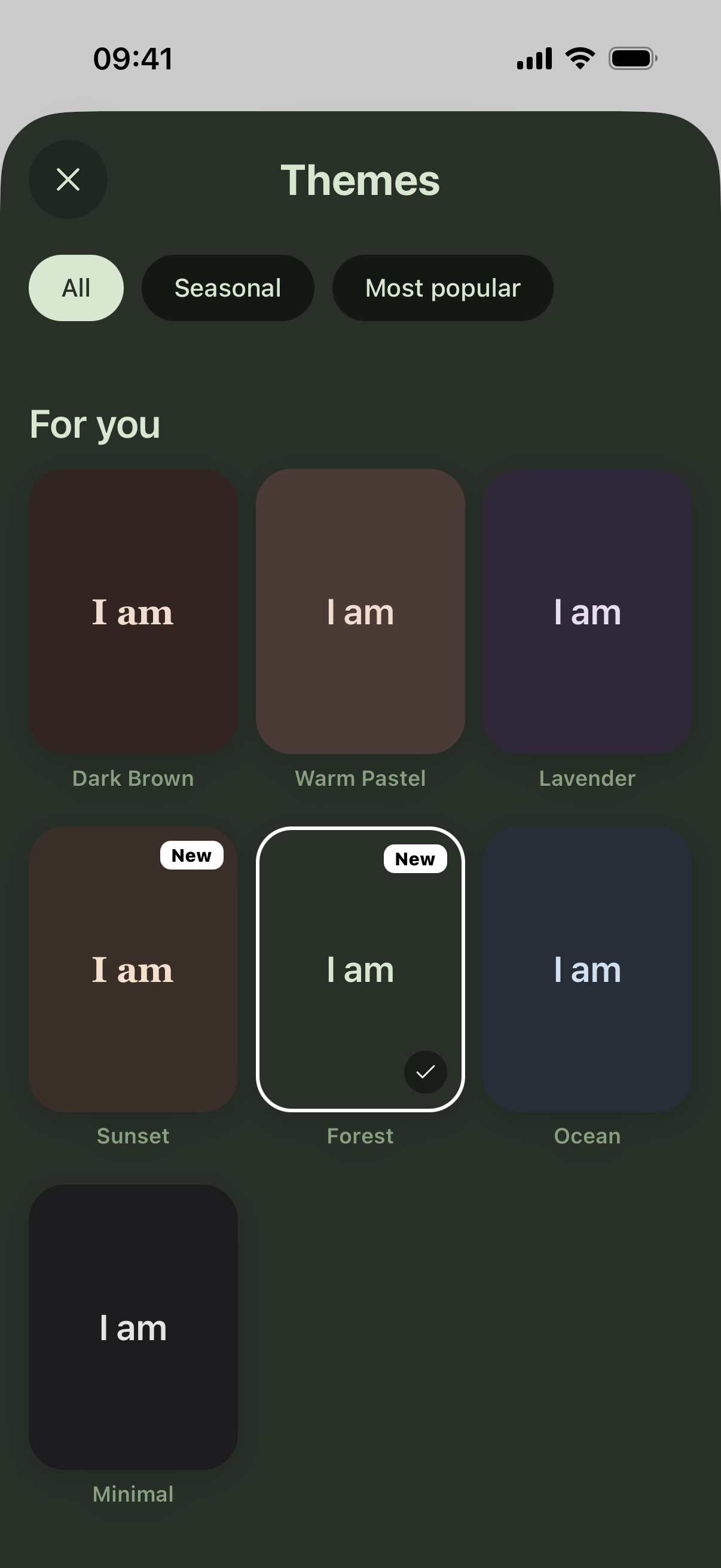Themes selection screen